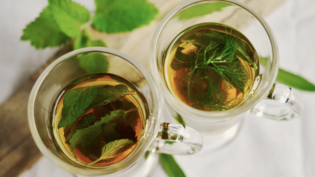 7 Chás e Infusões que Você Deveria Beber com Mais Frequência