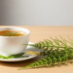 Chá de Cavalinha com Carqueja: A Combinação Natural que Acelera o Emagrecimento