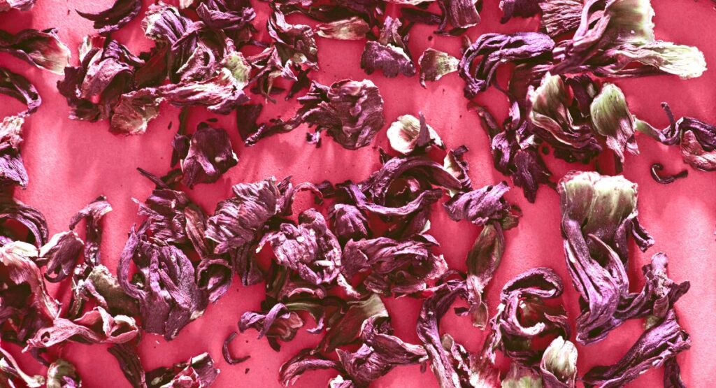 Chá de Hibisco para Emagrecer