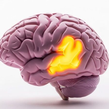 Por Que o Açúcar “Vicia” o Cérebro: Entenda a Ciência